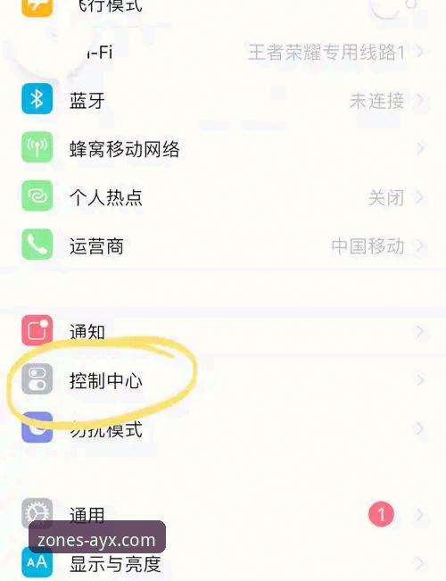 AYX苹果版必备 AYX苹果版必备功能详解与使用指南